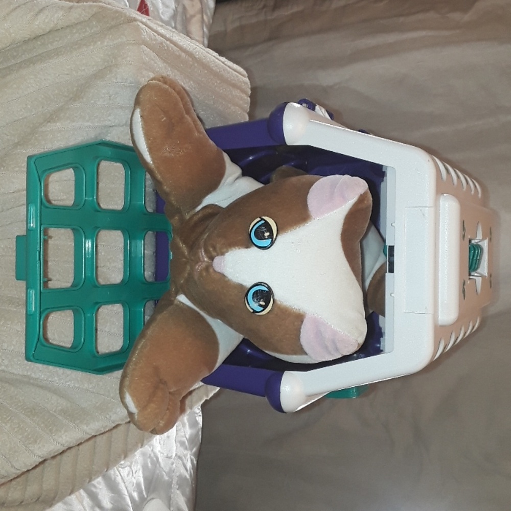 Pound Pur-r-ries Kitty  w/ Carrier